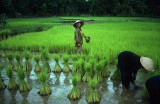 Southern Vietnam
